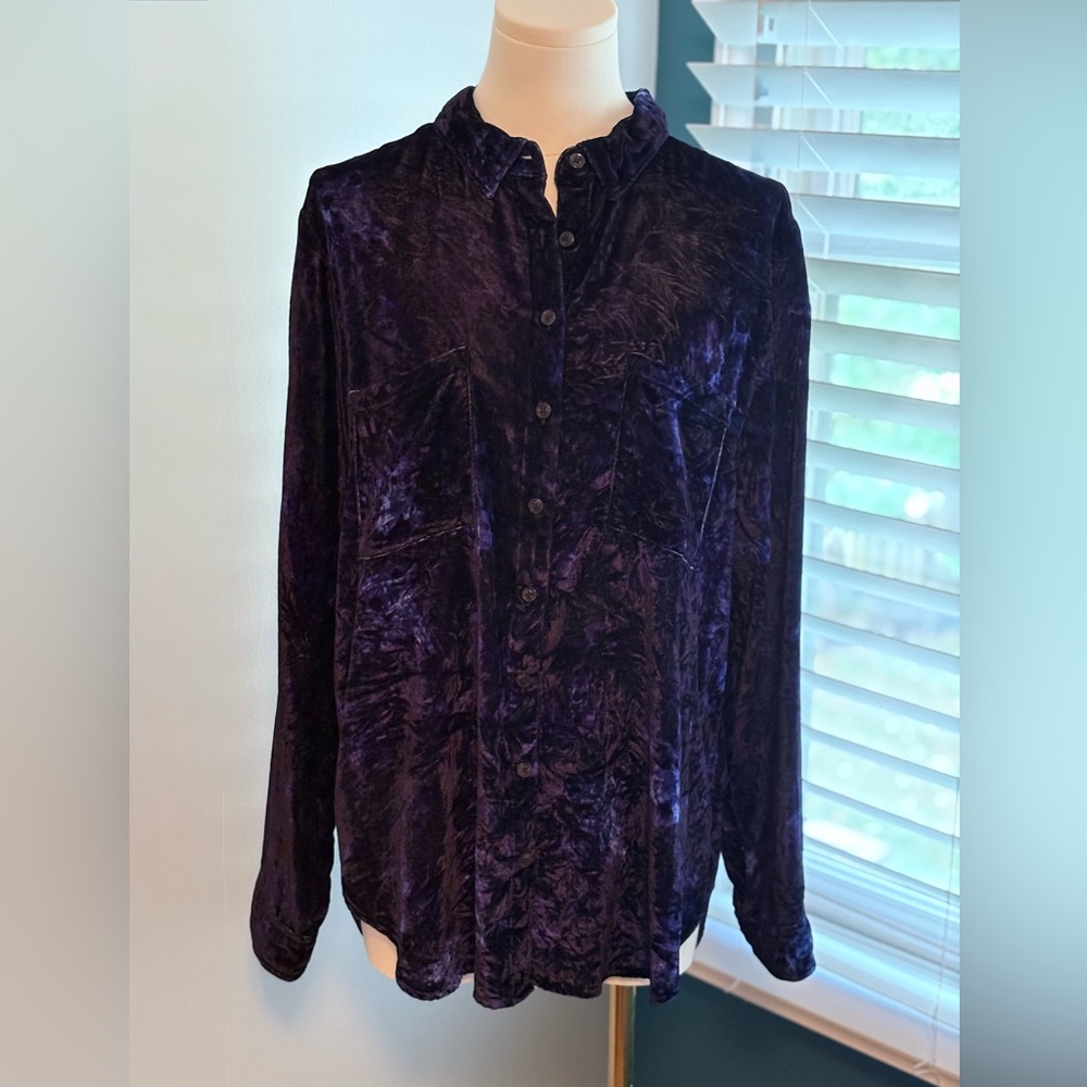 Anthropology Velvet Button-Up Shirt in Deep Blue